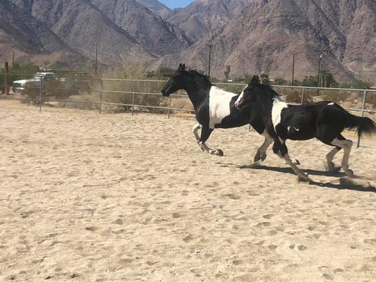 Feeling healthy!