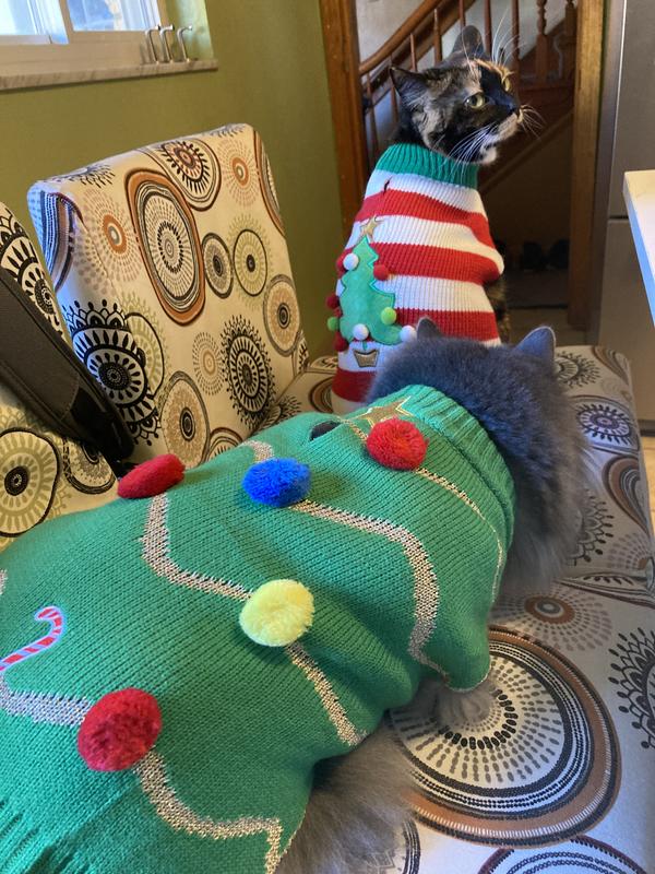 Big Tree - Size Medium