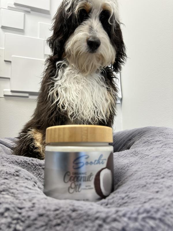 BuddyRest Soothe Calming Coconut Oil with Collagen Calming Supplement for Dogs