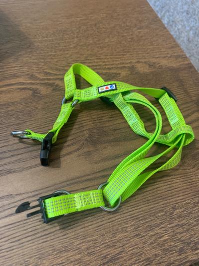 Pawda Nylon Harness & Leash, Paws Circle