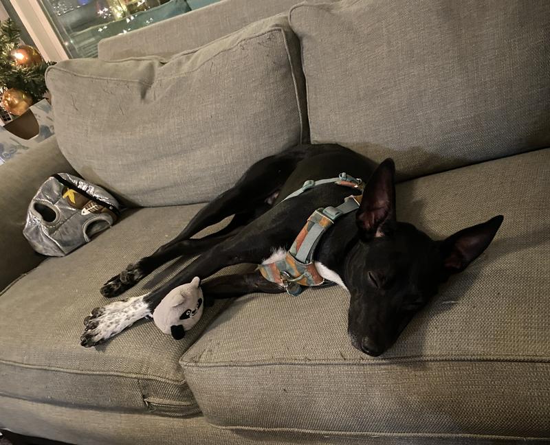 She carries them everywhere