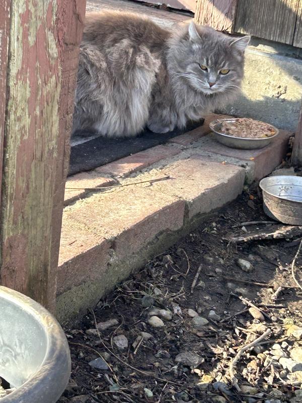 Maybe she will let us tame her after all? I doubt it but who knows lol