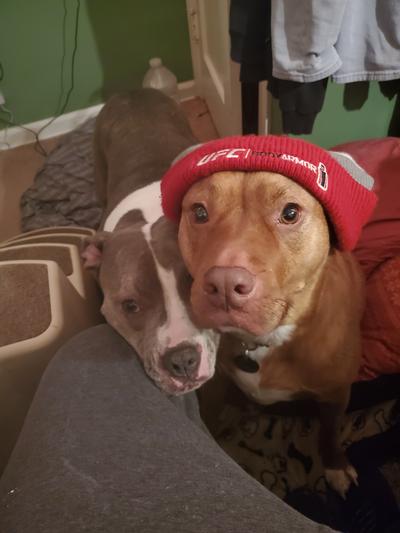 Stella and Mochi (with hat)