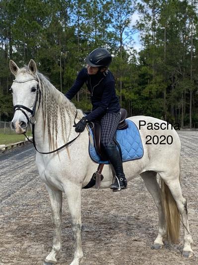 Pascha aka Fancy Pants