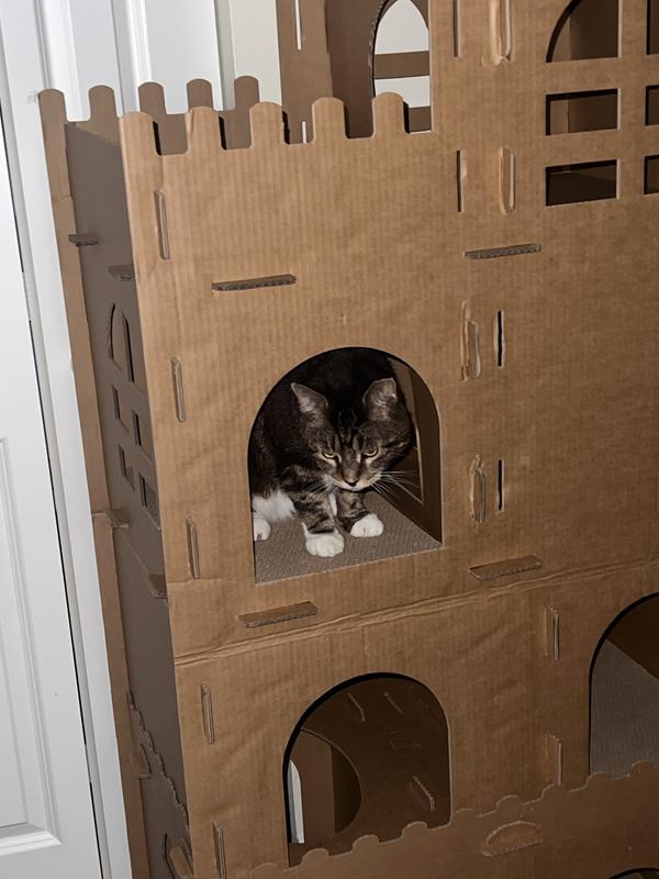 The prince has his castle
