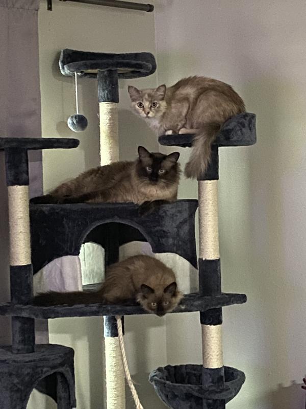 YAHEETECH 79in Plush Cat Tree & Condo, Dark Gray/White