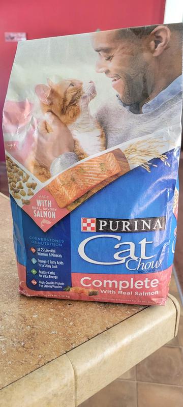 Purina cat chow store salmon