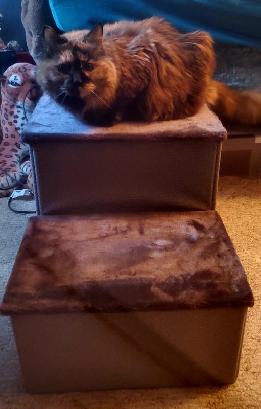 FRISCO Collapsible Cat & Dog Stairs & Storage, Gray