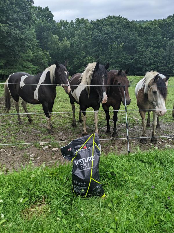 Our heard anxiously awaiting the Nurture Pro feed