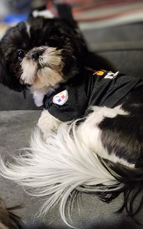 Timmy in his Steeler jersey