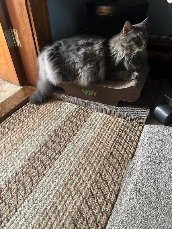 Bandit loves it too