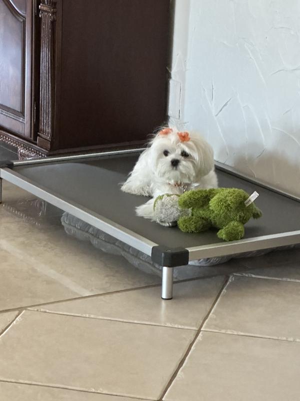 Out of Stock - FXW TitanNest Padded Chew-Proof Elevated Dog Bed