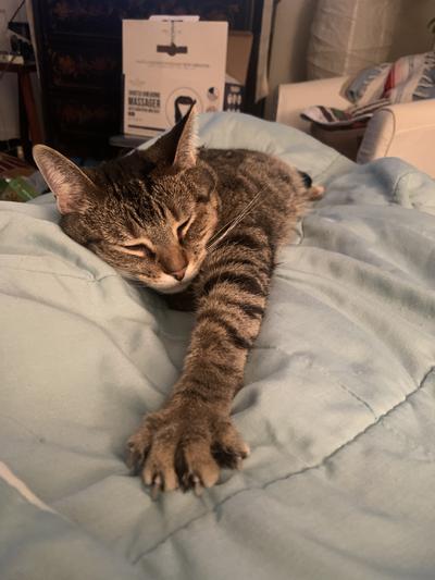 Mima stretching