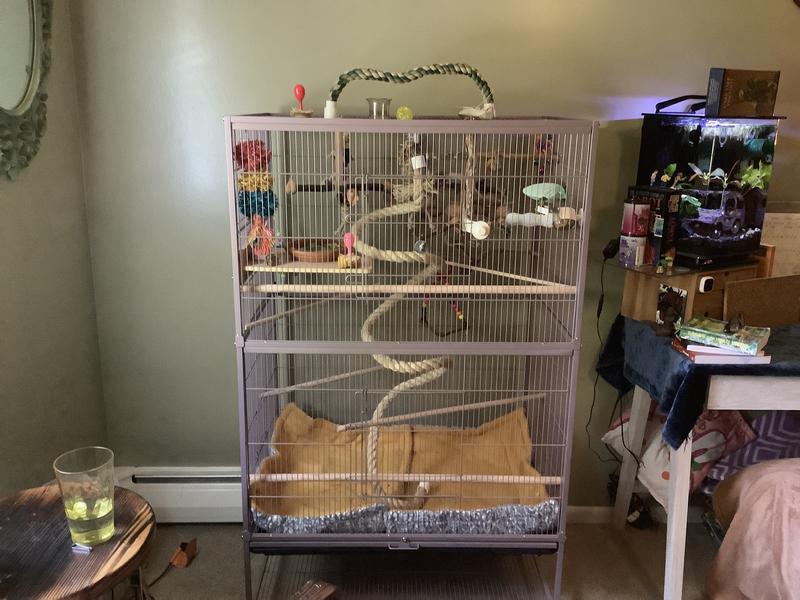 Beautiful , spacious