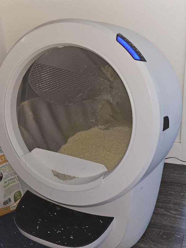 SUSTAINABLY YOURS Large Grains Natural Cat Litter, 10lb bag