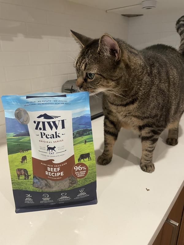 Peak cat 2024 food review