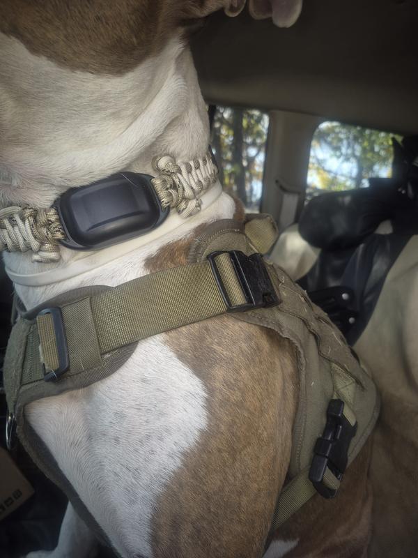Custom paracord was made for durability given my dog tends to be in the woods or rolling around abrasive surfaces outside (Automotive Facilities). The default collar's clips are of solid quality but the band did start fraying in the first week.