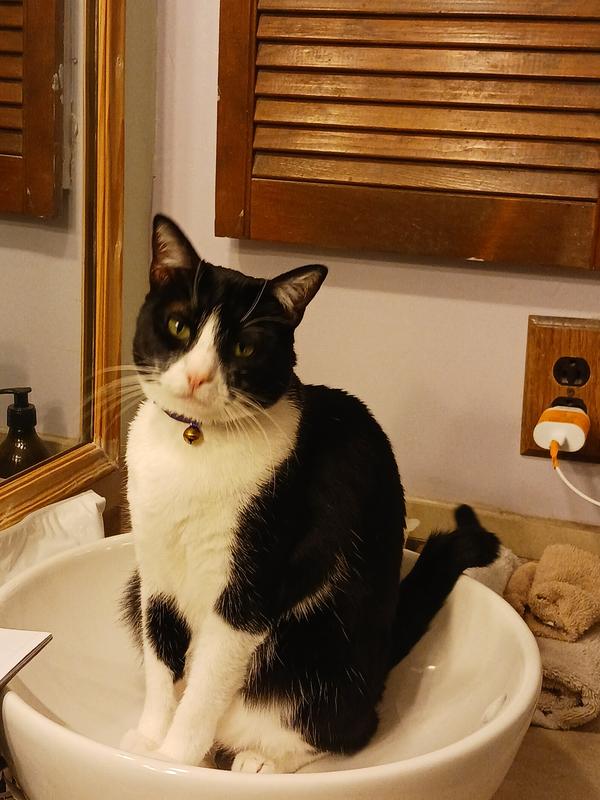 The Ruler of our "Kingdom"