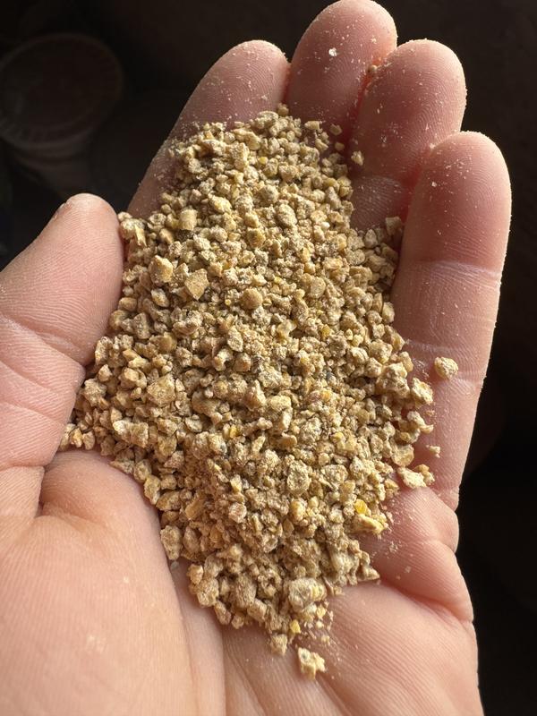 For size and to see what it looks like