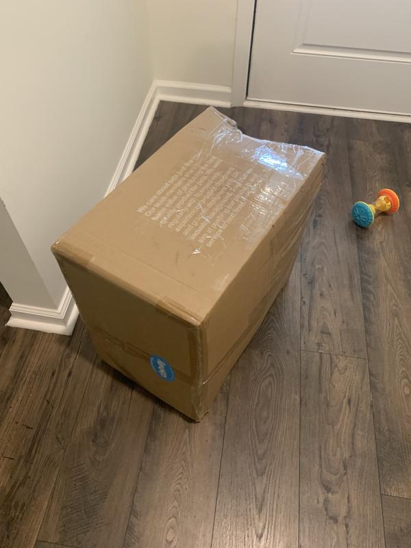 Cookie’s long-awaited birthday present.