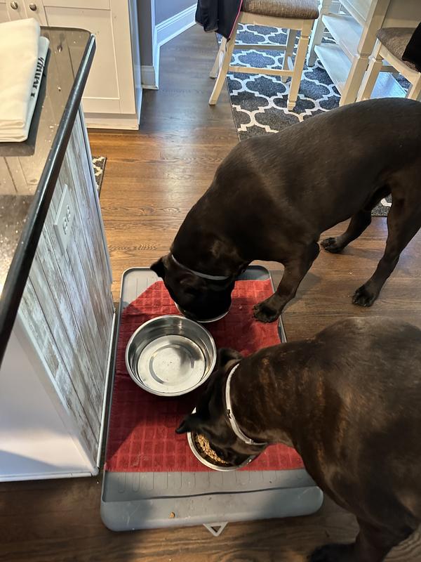 Too busy eating to pose for pics.
