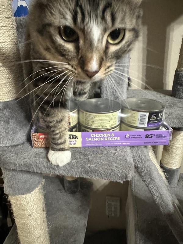 Black Bean guarding the goods!