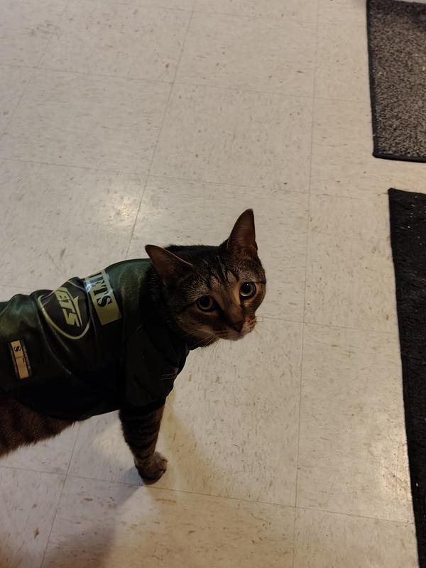 My mascot