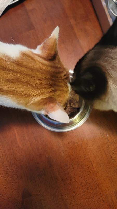 Eating with enthusiasm