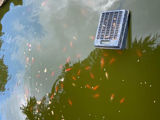 Floating filter in pond