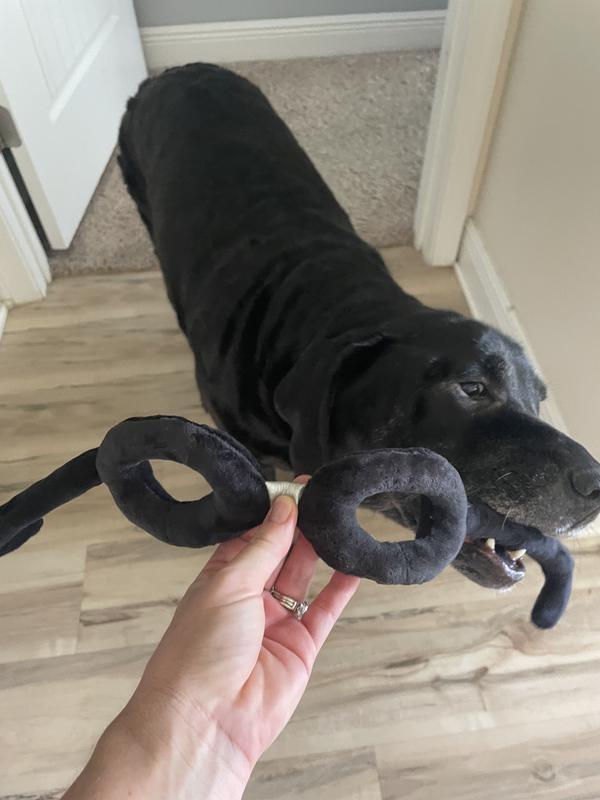 Can’t wait to play