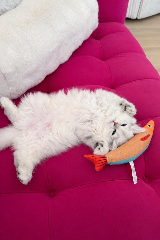 Dusted 10 minutes later