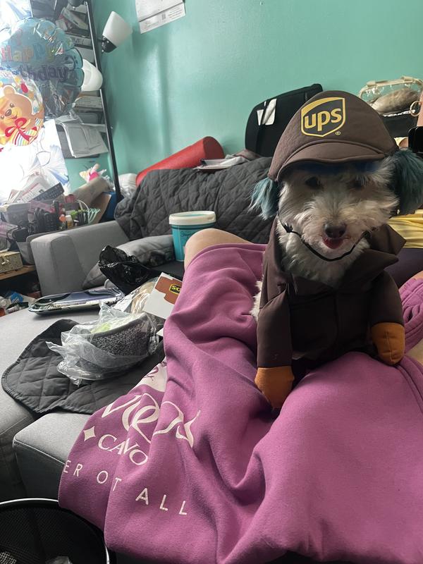 Super cute runs this is a size medium and he needs a small