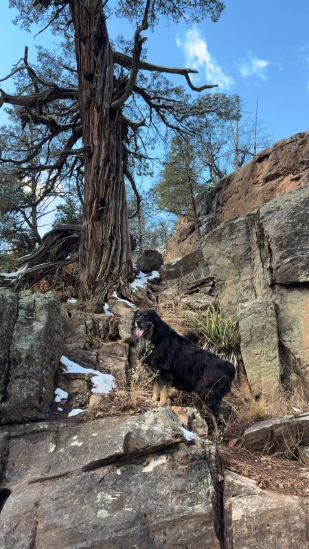 With joint maintenance we can keep doing things we love with joy and ease!