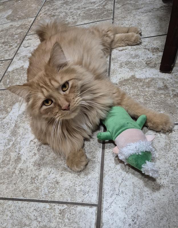 Oliver playing with his elf toy