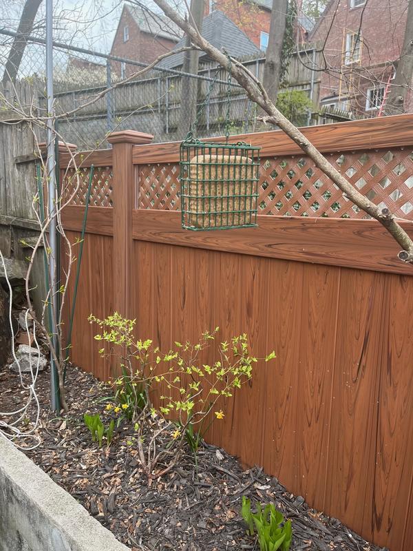 PINE TREE FARMS Never Melt Suet Peanut Cake Bird Food, 12-oz tray, 12