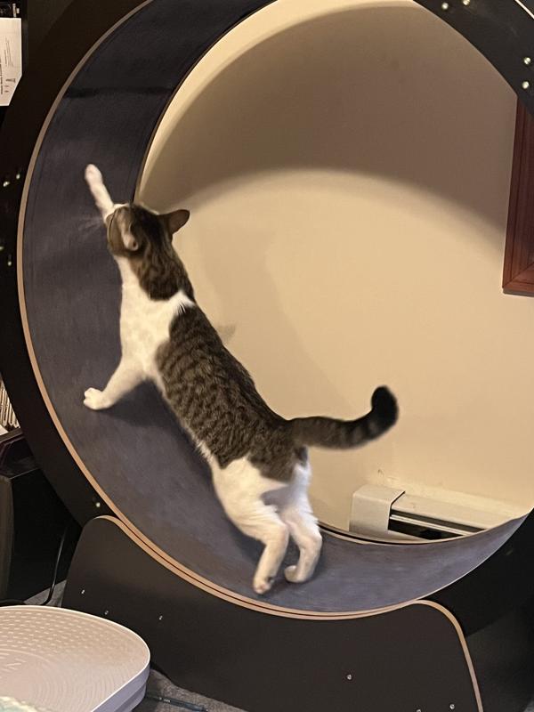 She loves it at all hours of the day!