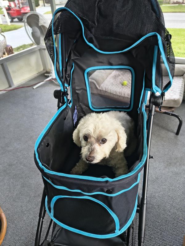 Karmellas first ride