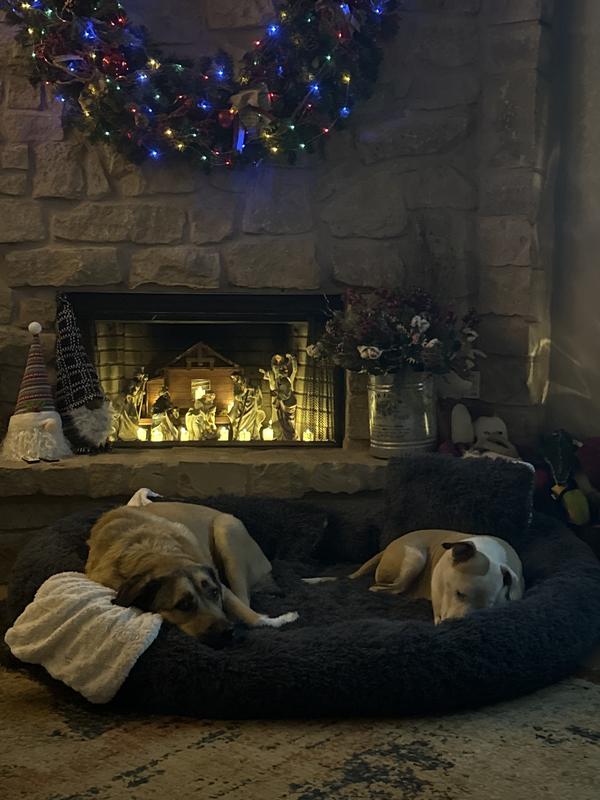 LovMor Oversized Human Dog Bed