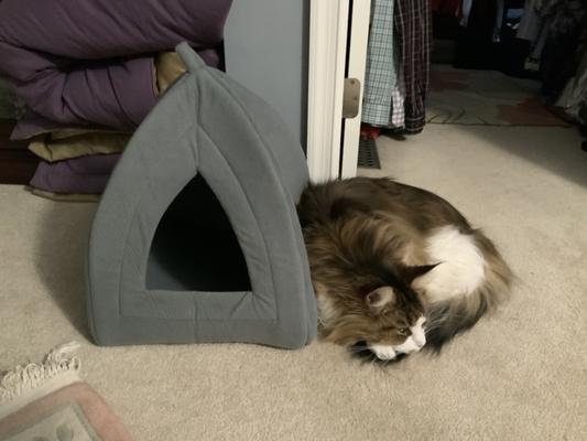 Sleeping next to it.