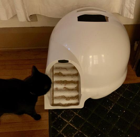 Booda dome litter box reviews sale