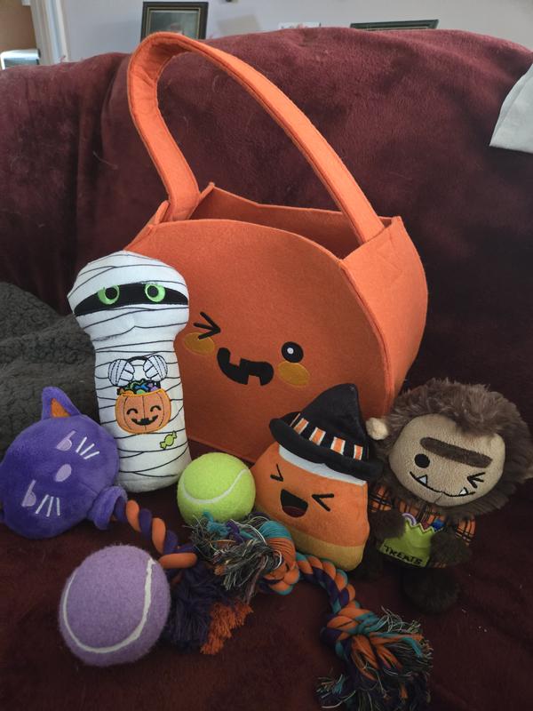 Bag with all the toys