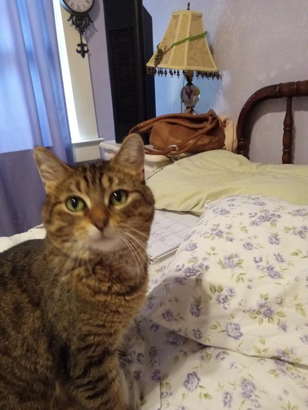 They're not that bad!!