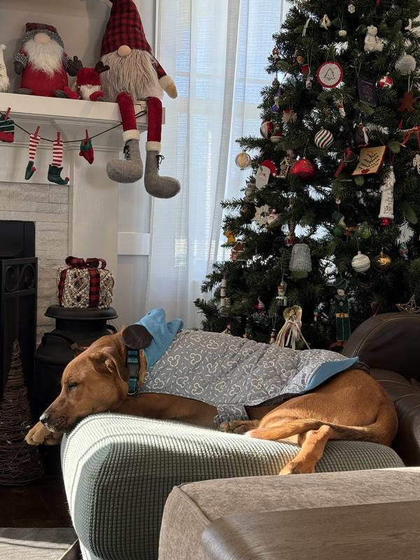 Disney Lightweight Mickey Mouse Quilted Puffer Dog & Cat Coat