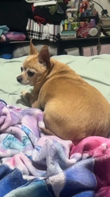 Hunni turns her back on this product