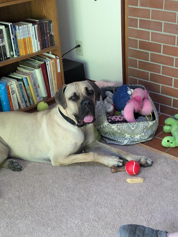 Healthy, happy and safe