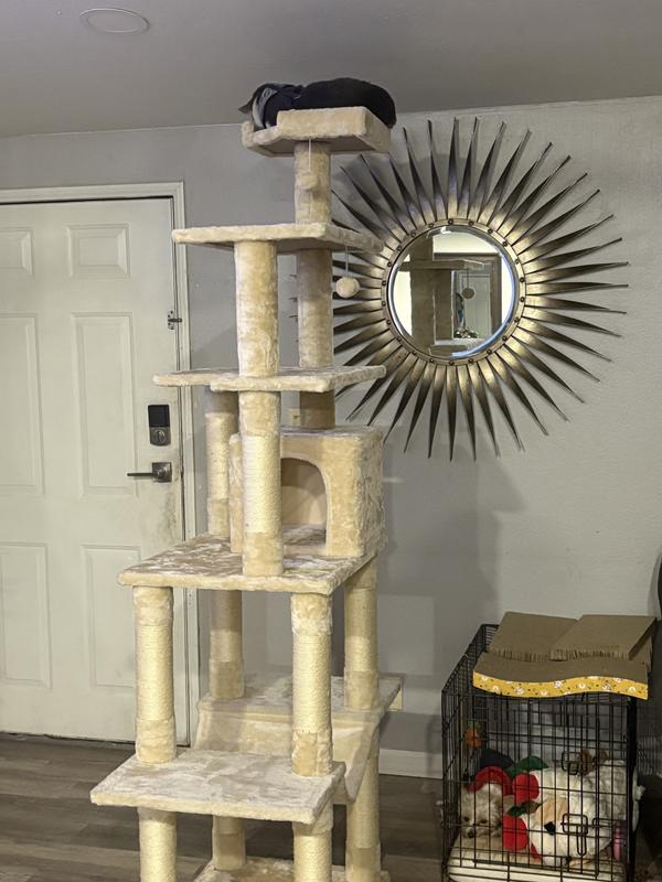 He loves it!!!! He won’t get off it 😩😩🥰😭