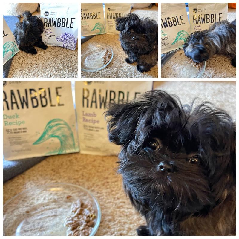Rawbble reviews sales