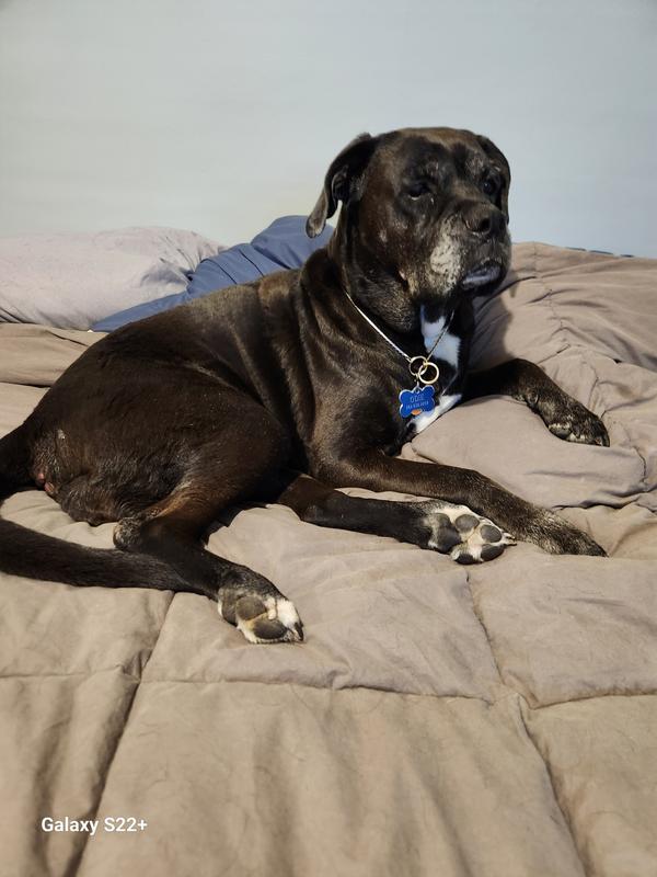 Odie! Finally a girl I can trust.