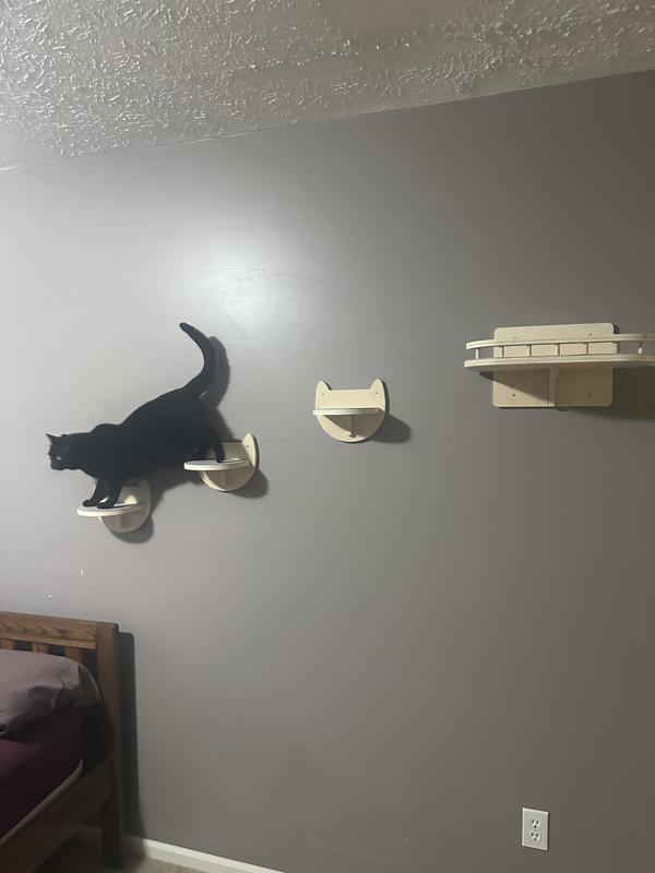 PACIFIC PUPS RESCUE Wall Mounted Cat Shelves & Steps, Natural Wood ...