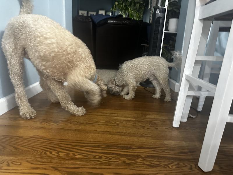 In live w/ this food!